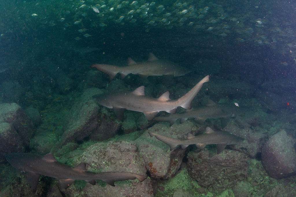 3478406c-edd9-4354-a012-7b768a1367fa