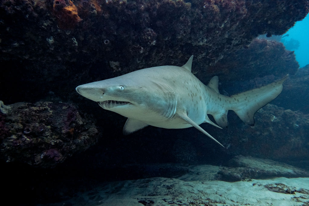 7be8614c-3a96-4458-87ea-97928cfdd489