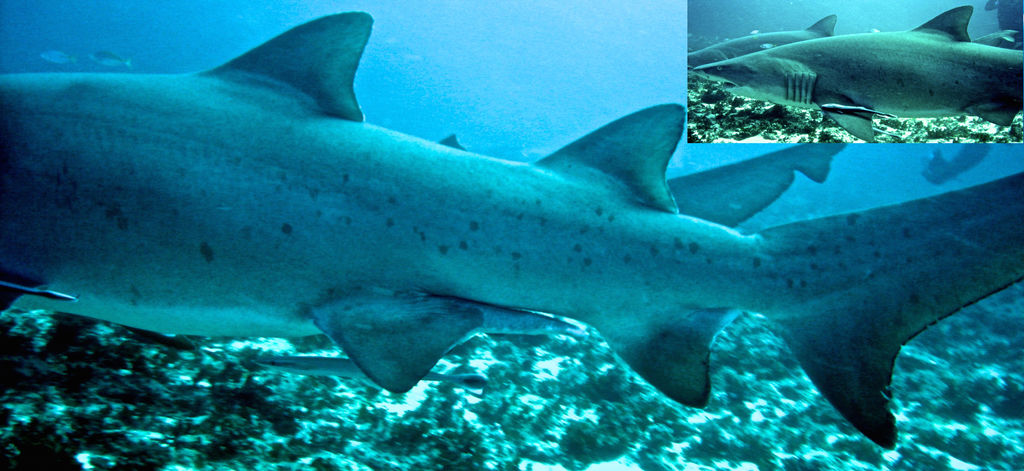 2bdf2a75-2563-495a-8f8a-a057d96112c6