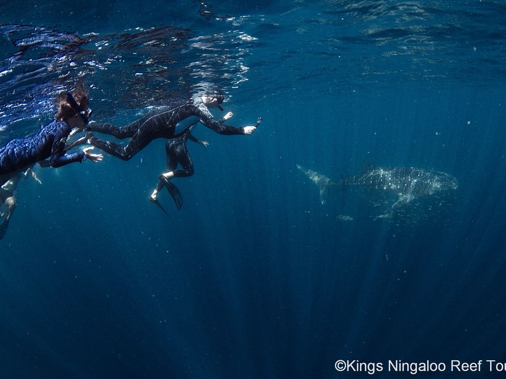 7cab49d9-2ab8-4dbd-8fc2-701e40ec5e37