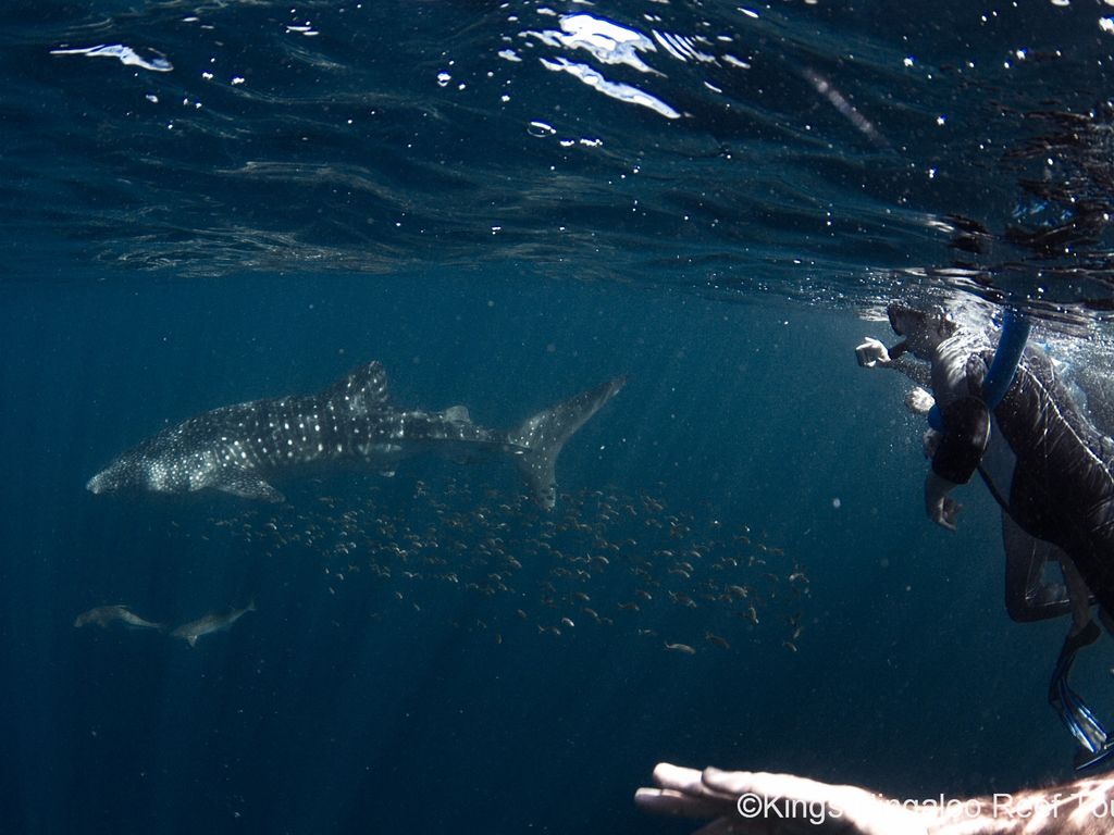 7cab49d9-2ab8-4dbd-8fc2-701e40ec5e37