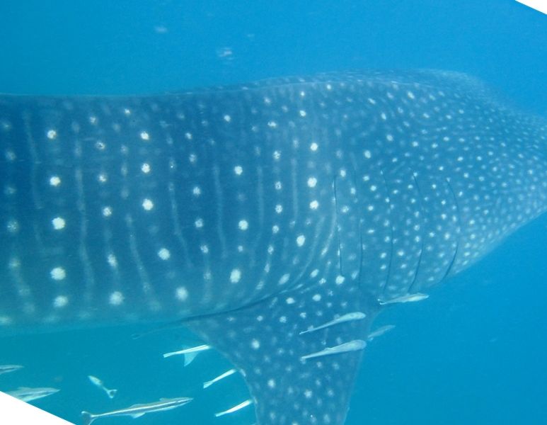 0b773182-a96d-4195-a357-bd1d12eb8081