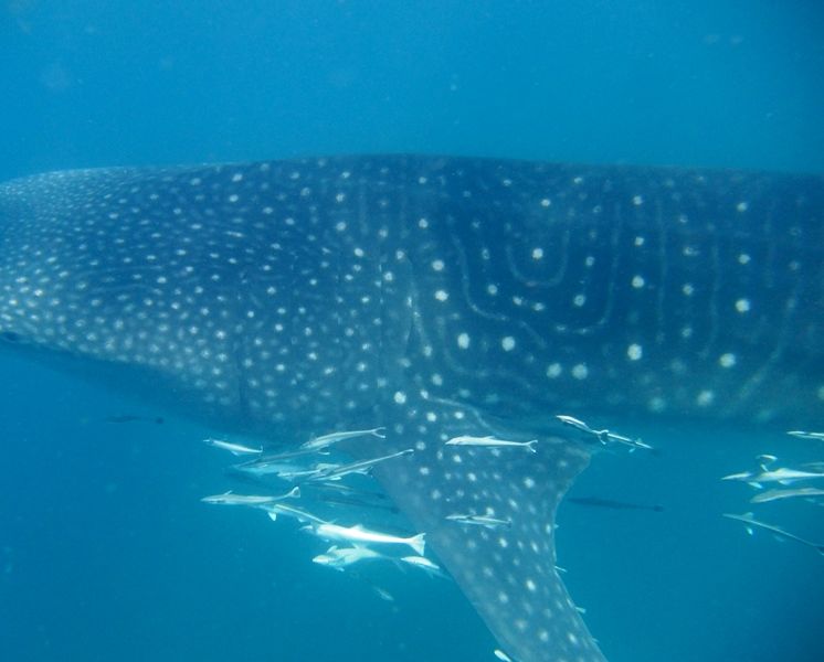 0b773182-a96d-4195-a357-bd1d12eb8081