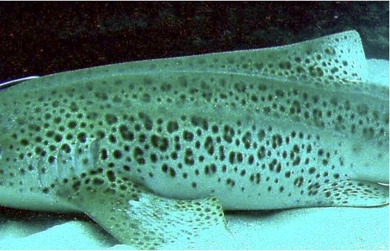 f925aca1-9625-4a9f-bb01-50838dc700c7