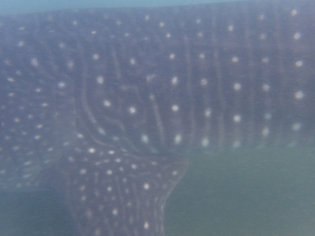 11efd23f-7aea-4980-9bf0-1beb35ac3349