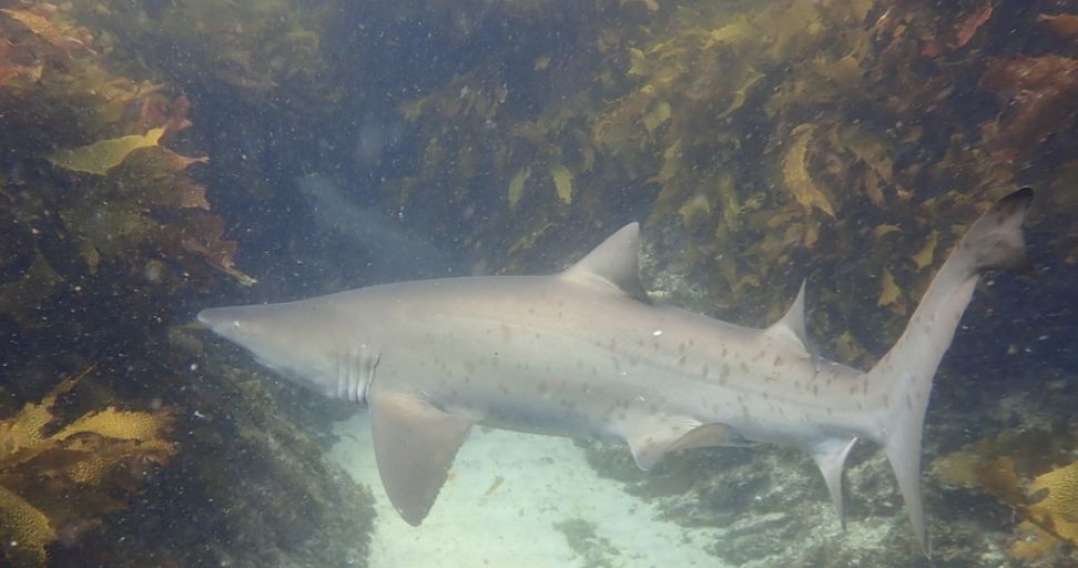 0ae3196e-2c0b-414c-be04-3aea691c3dfb