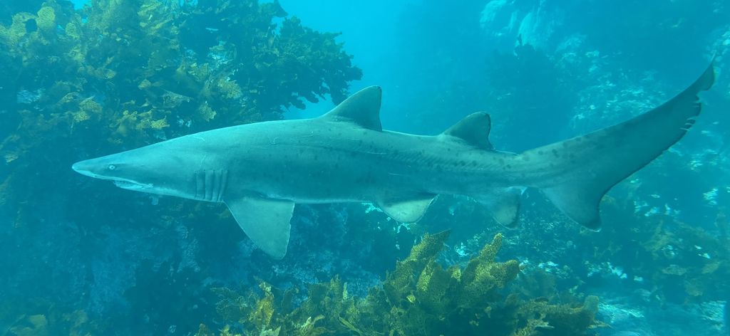 f9c907d7-944f-42d9-80b4-3a3f76891c64