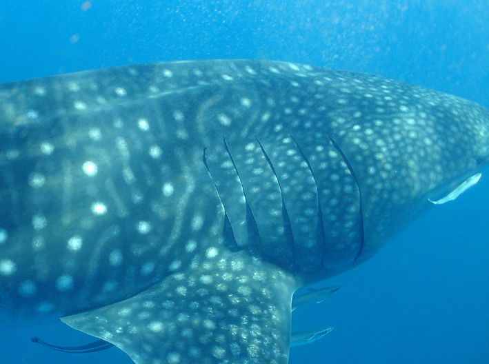 365aceba-d85c-4902-b394-1fa8ab8bce0e