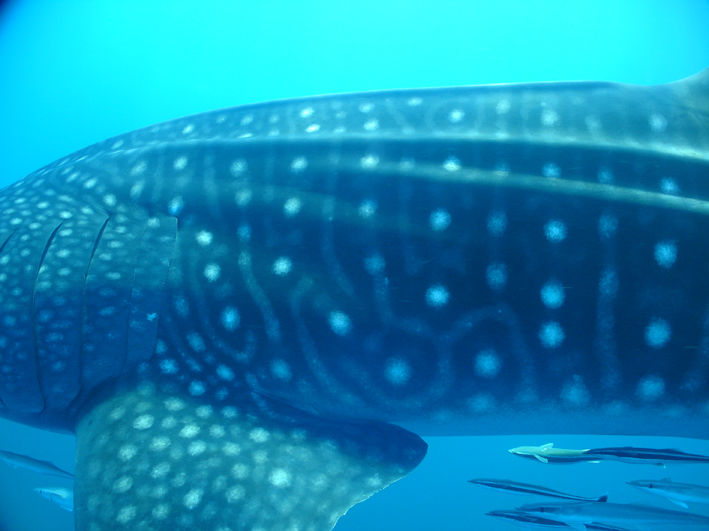 365aceba-d85c-4902-b394-1fa8ab8bce0e