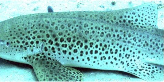 b7efd13c-3344-4132-93c3-73fdd5471348