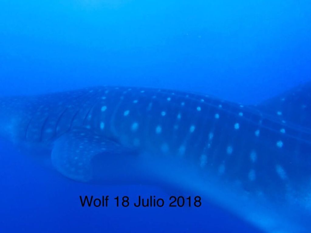 c3859ef2-bcd0-4301-8975-e87c87a76c16