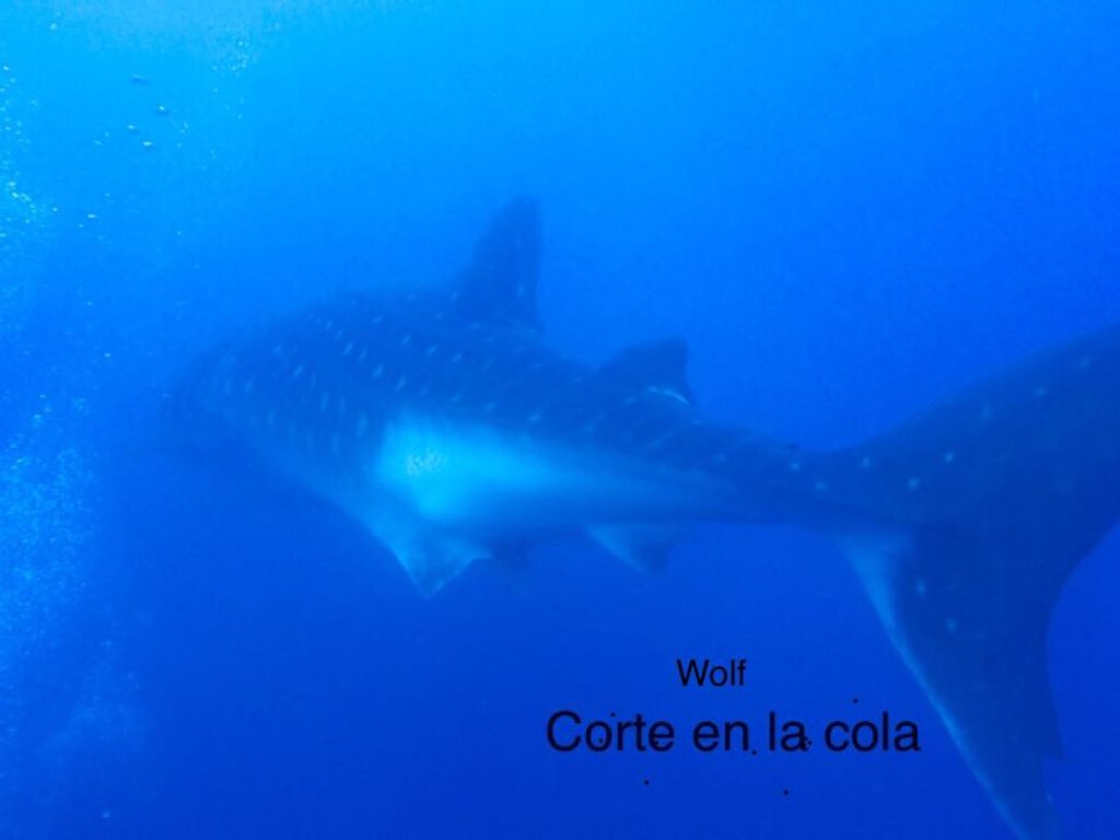 c3859ef2-bcd0-4301-8975-e87c87a76c16