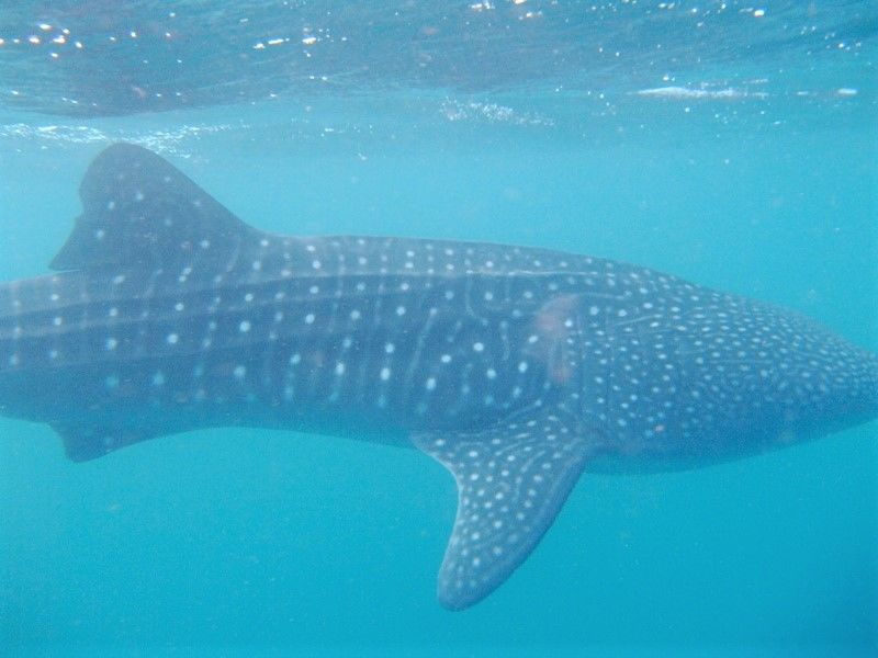 9f3ac15c-d257-4f05-a6e6-d7334a15f027