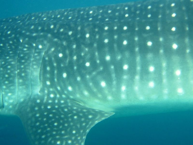 71a5e21b-ec19-4f7b-9b80-0062e048bf56