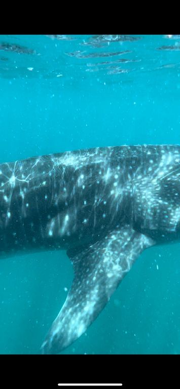 d54e6670-4c48-456d-addf-92ab64a4b8e7