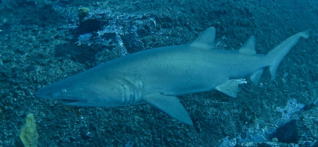 86886874-9df3-4d0c-8ffa-2122220791d1