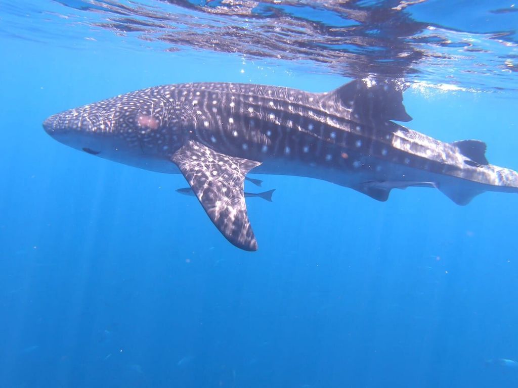 037811e2-97e4-41b0-8cd6-8bb56d85e231