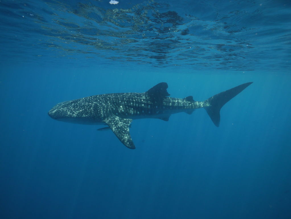 037811e2-97e4-41b0-8cd6-8bb56d85e231