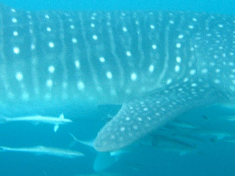 6108170a-4d36-43b3-ac6e-b02f3b24b24b