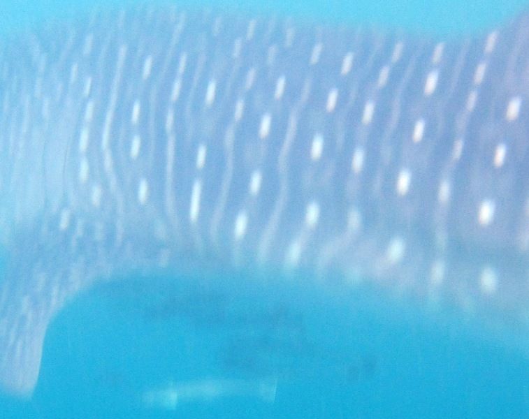 6108170a-4d36-43b3-ac6e-b02f3b24b24b