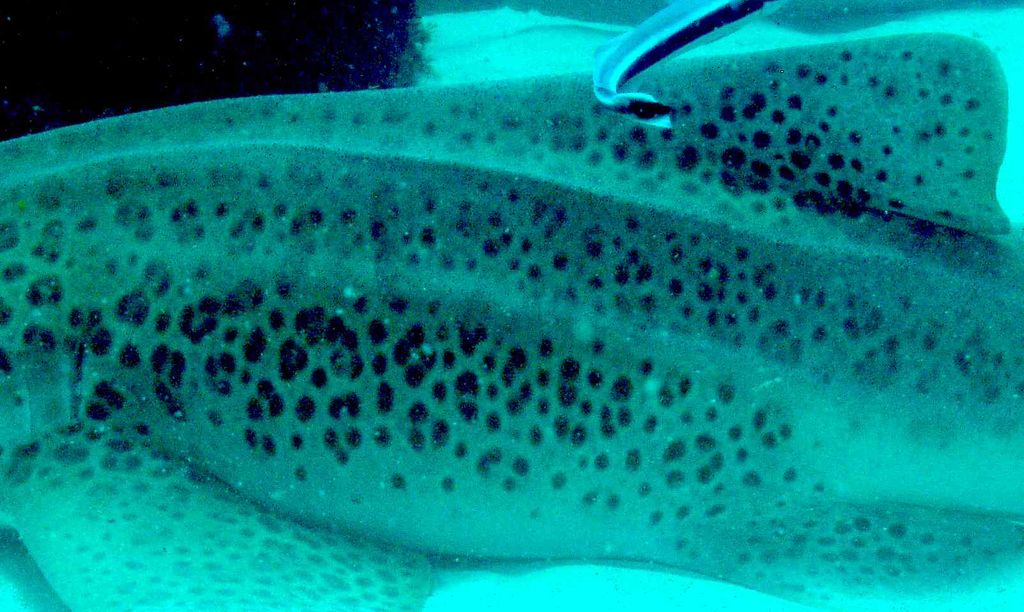 966820ad-13f9-4980-bbd2-5380bca8ce7a