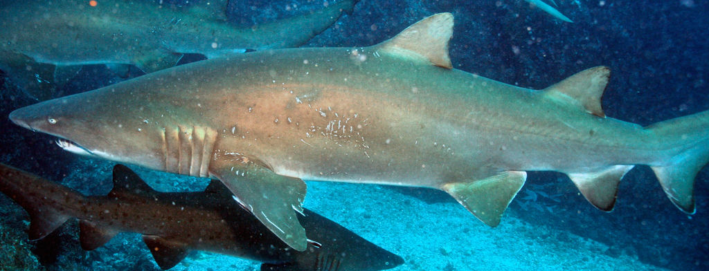 37dfc68e-627e-4393-807d-e5a7683a3373