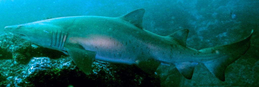 770056be-777c-4385-b4b7-7d89a7ed0e88