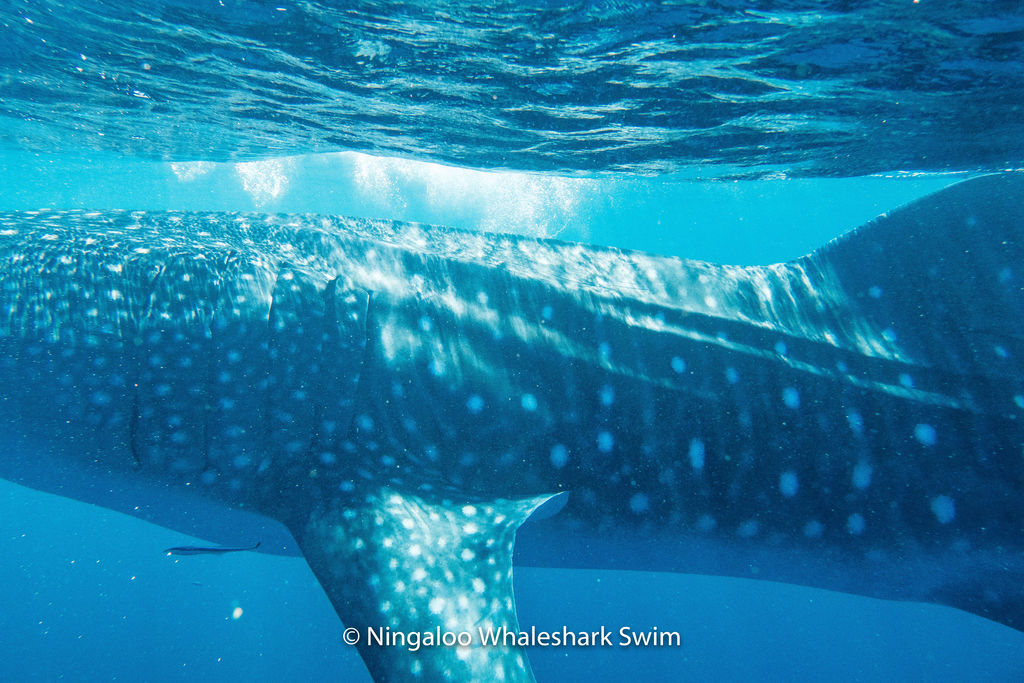 3e749d28-9976-4110-9cc4-5b325b2e8f85