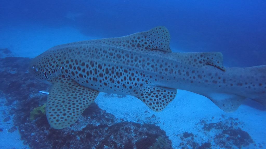 624da8cc-cffc-4a0d-b08a-4edbad309354