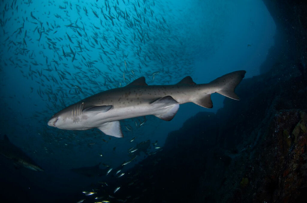 f7b19ef7-3cae-4a9b-a432-88fdb12a4674