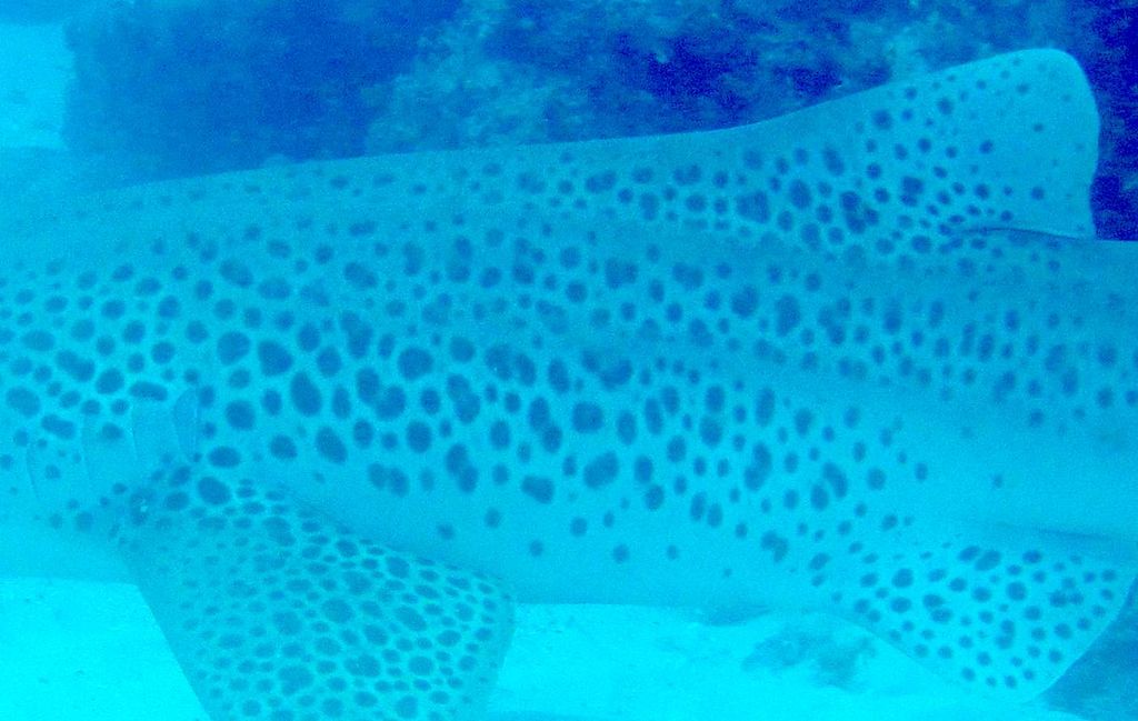 8788ac79-3957-4214-96f1-82e9ac498ea1