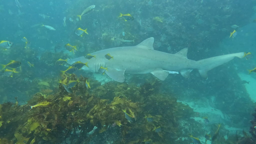 5b45715d-2306-499d-a38c-50efe8da9d0c