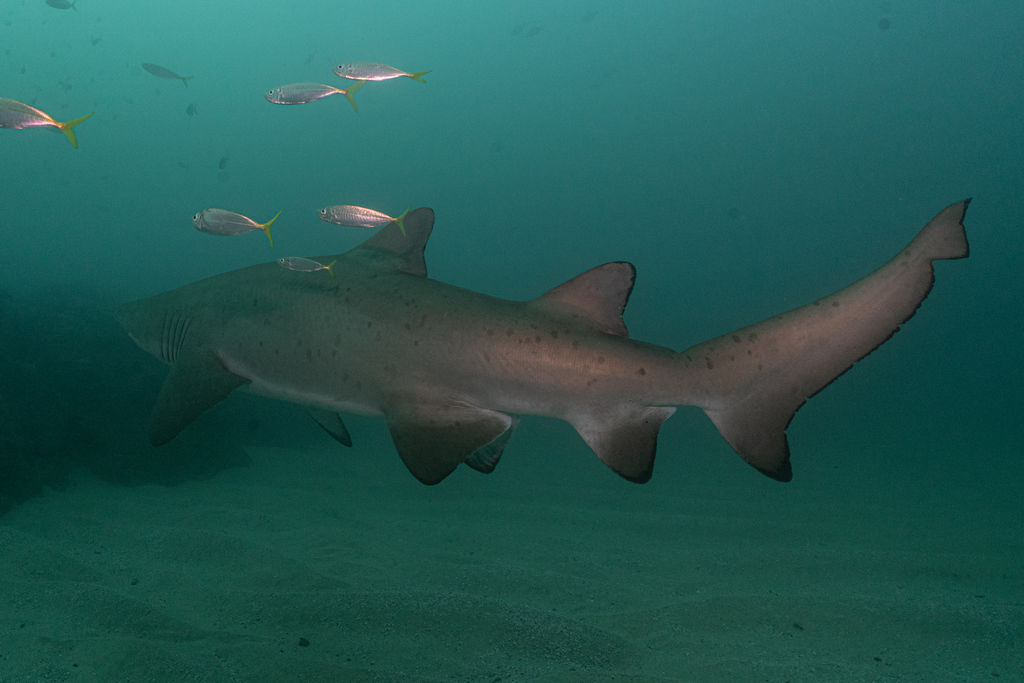 b8b1b600-46b8-4384-8992-c5633481a709