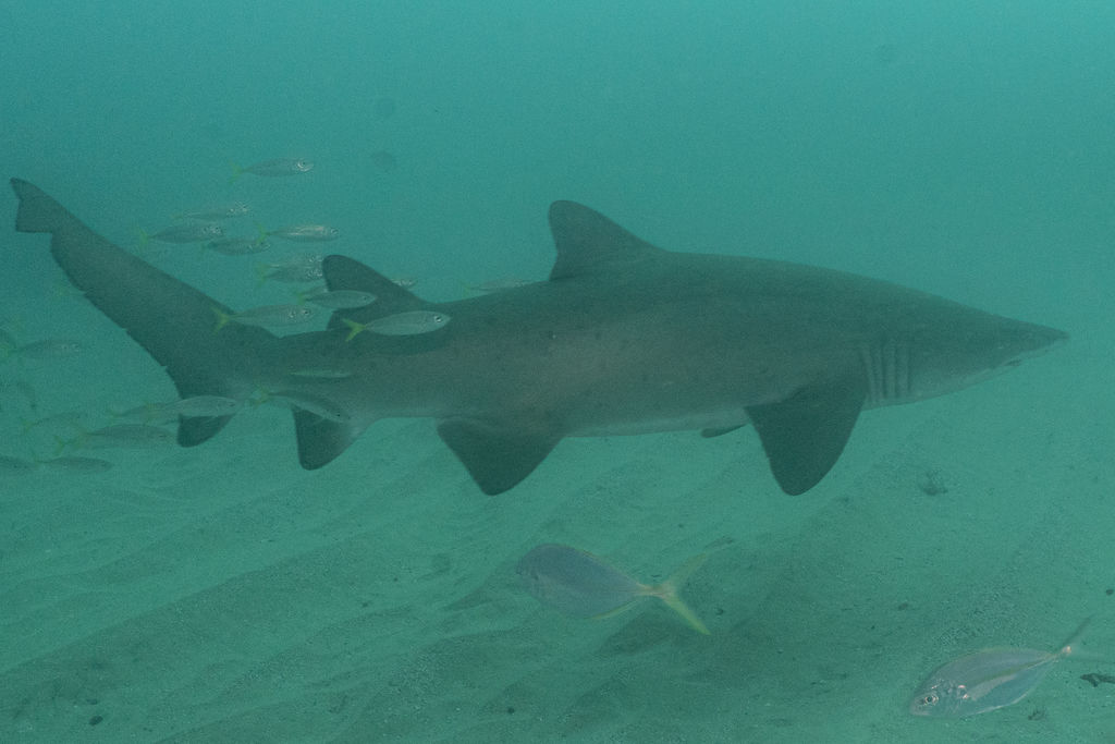 b8b1b600-46b8-4384-8992-c5633481a709