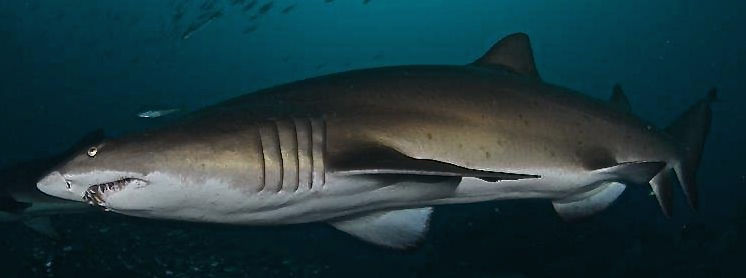 62867bda-d48a-48a8-a3c3-6b9902ffdbff