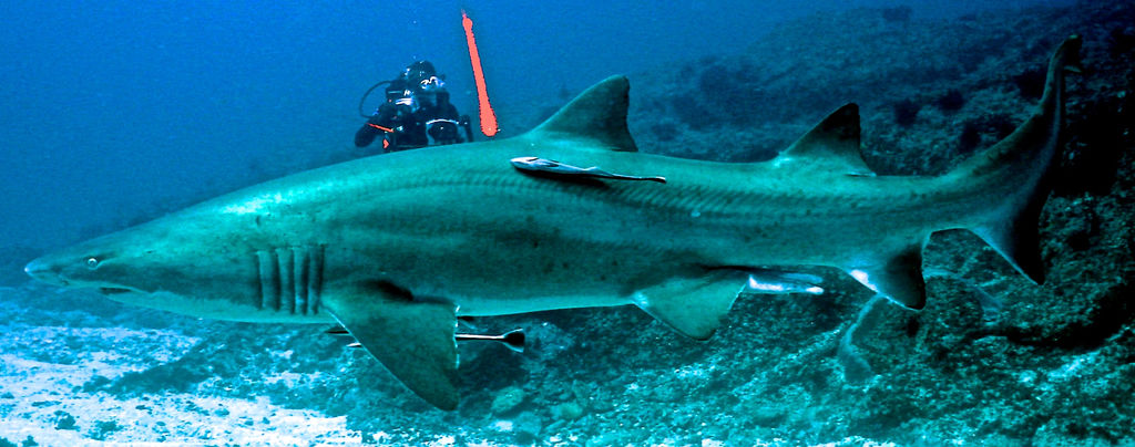 3bc258fa-7064-46a4-aee4-84ffd64c7378