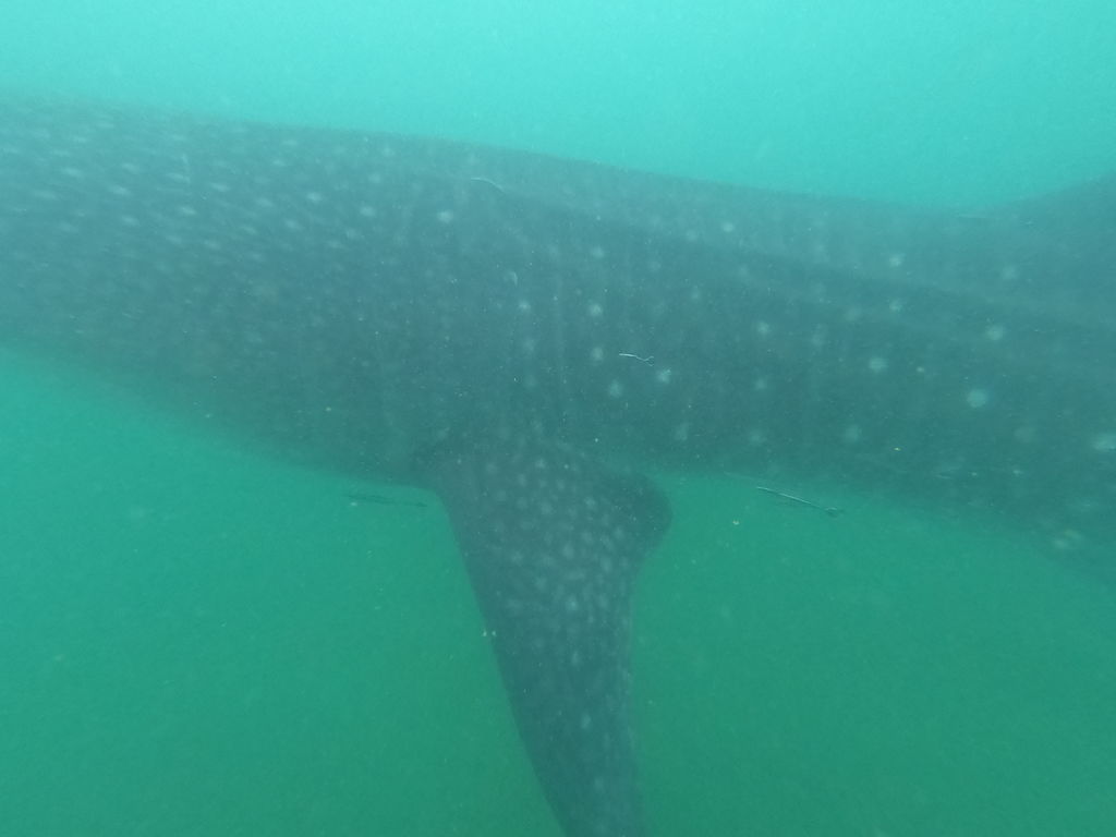 c7454dc3-3856-4caf-894b-948fc0ae3112