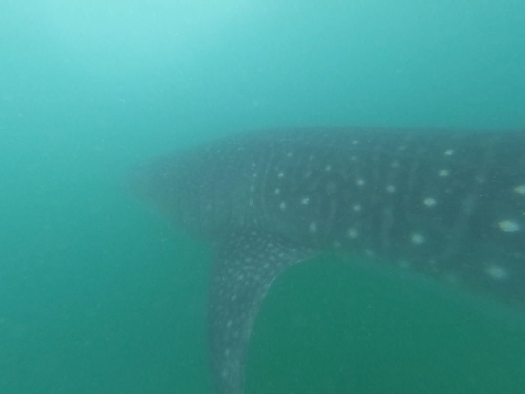 c7454dc3-3856-4caf-894b-948fc0ae3112