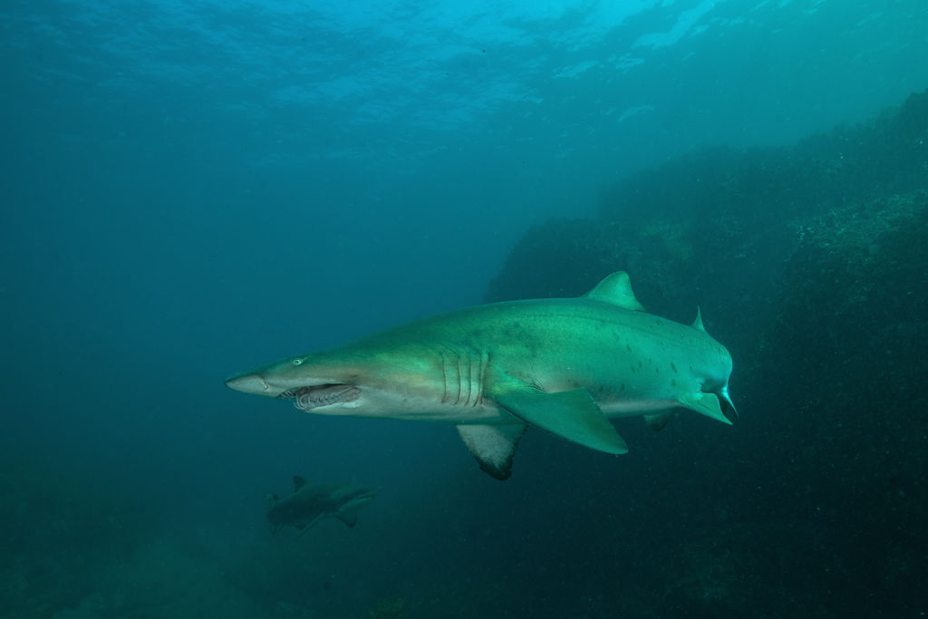 58817f3a-ca3f-4d1e-b7d8-8dc2eaf80cfc