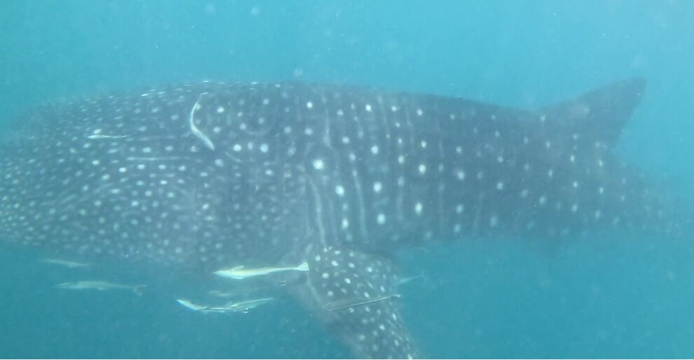 0054aa67-30ea-4619-aa0f-e012a038ba86