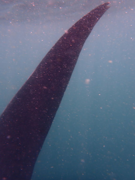 0d932684-ac6a-49de-ab08-8918e0a92fd7