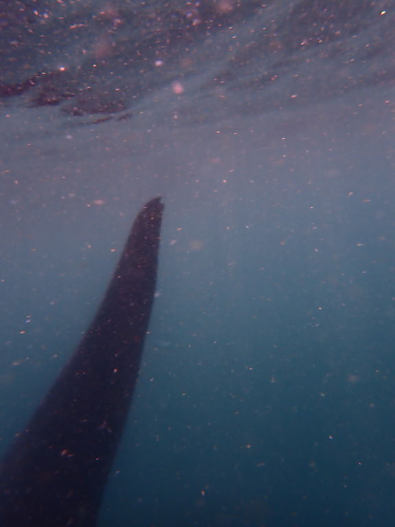 0d932684-ac6a-49de-ab08-8918e0a92fd7