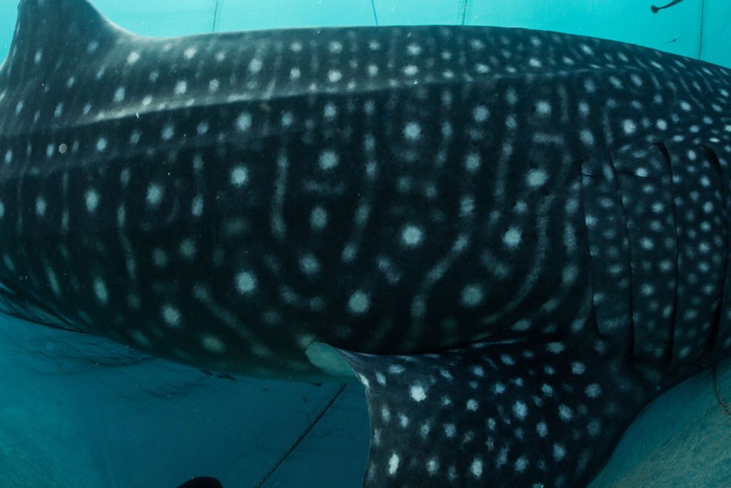 38675d63-761c-45f3-a303-9cd53a368f57