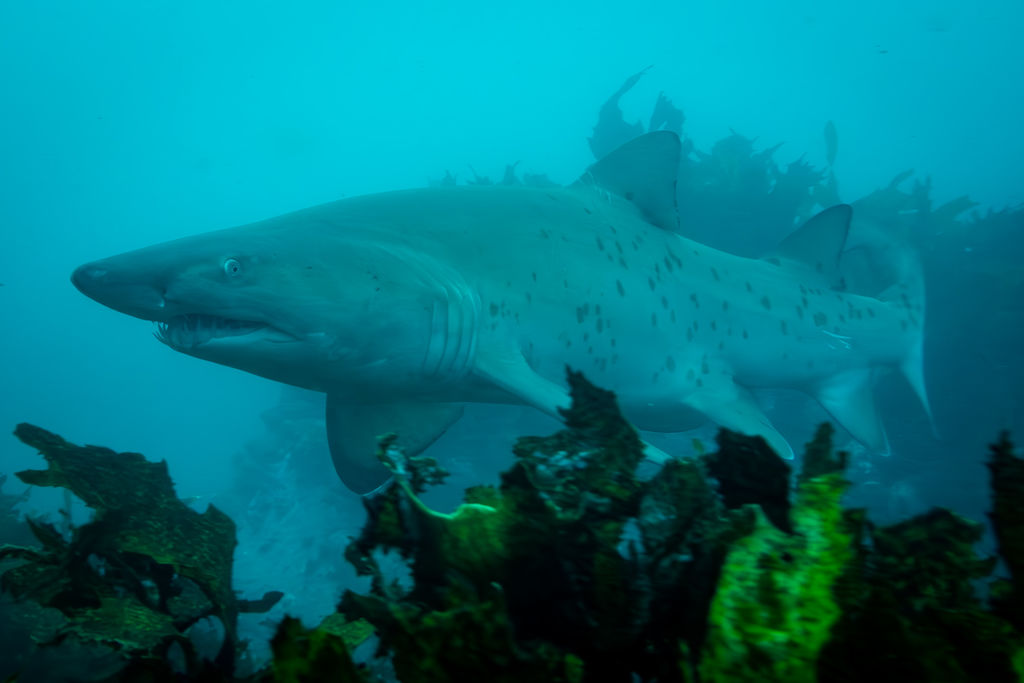 f6a1adbe-d084-4af6-930f-ab577e4fffbf