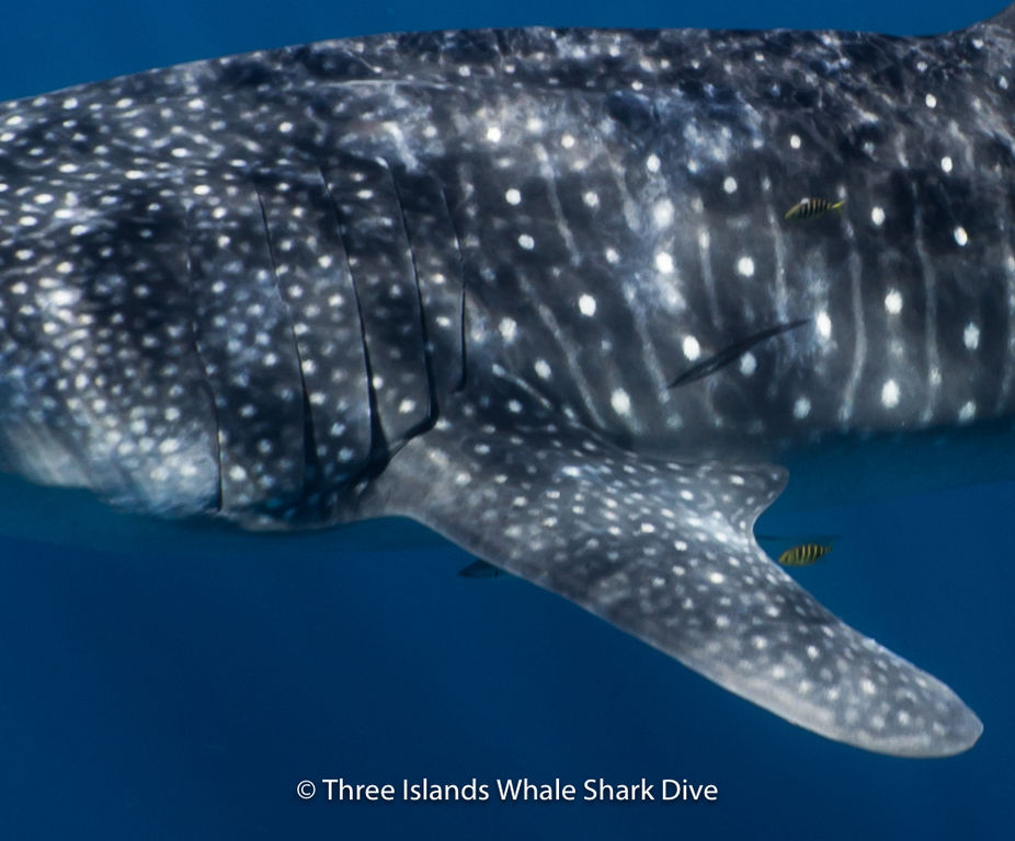 4f77b77b-2d91-420a-9246-4a040e3d437f