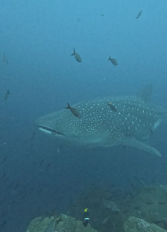 3d5e9027-1e36-46a1-a15e-a9914bf9a612