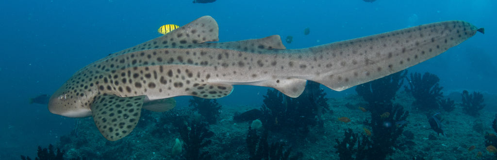 1a51d61e-2b48-480e-8631-2e282a10a59b