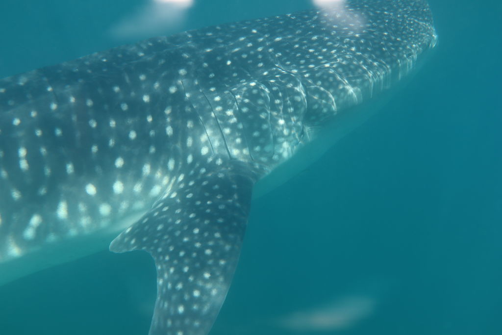 5c0c4d89-e148-4dd6-b456-fbed53b99c70