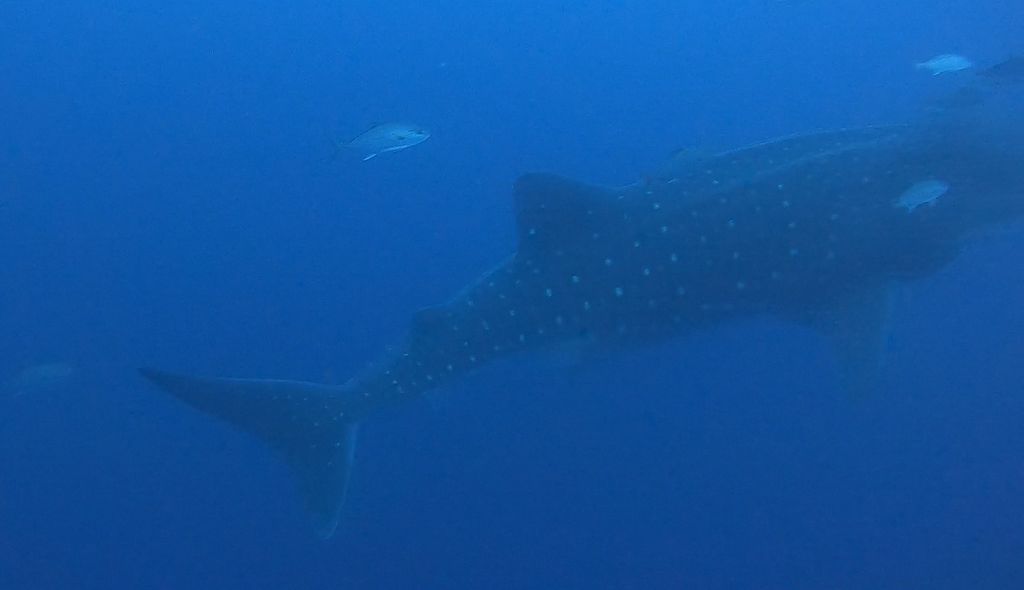 02bdf9e8-38c0-440f-a3fe-f61bca05eb08