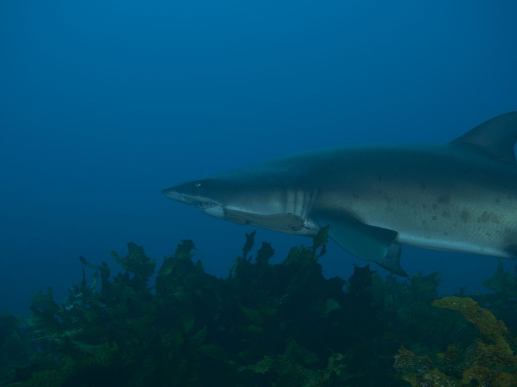 3b44edef-55b6-466e-a075-e45acb72fae2